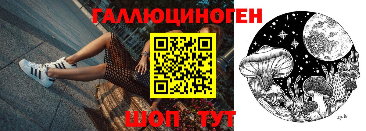 Псилоцибиновые грибы Cubensis  Вход с VPN  Северобайкальск  Галлюциногенные грибы мицелий 